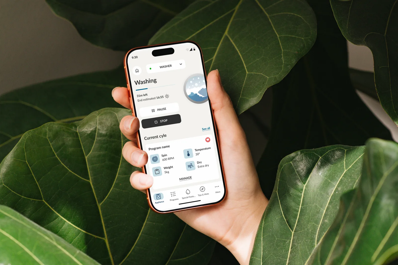 Una mano regge un telefono tra grandi foglie di ficus lyrata, sulla schermata hOn della lavatrice a ciclo avviato: Washing, 31 minuti rimanenti, con i controlli pausa e stop e i parametri del ciclo sotto.